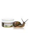 Hair Mask with Snail Extract 200ml Victoria Beauty