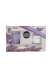 pThe gift box contains the Lavender scented plant candle in glass tin Ø45 mm and the Lavender scent diffuser with wooden sticks 